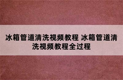 冰箱管道清洗视频教程 冰箱管道清洗视频教程全过程